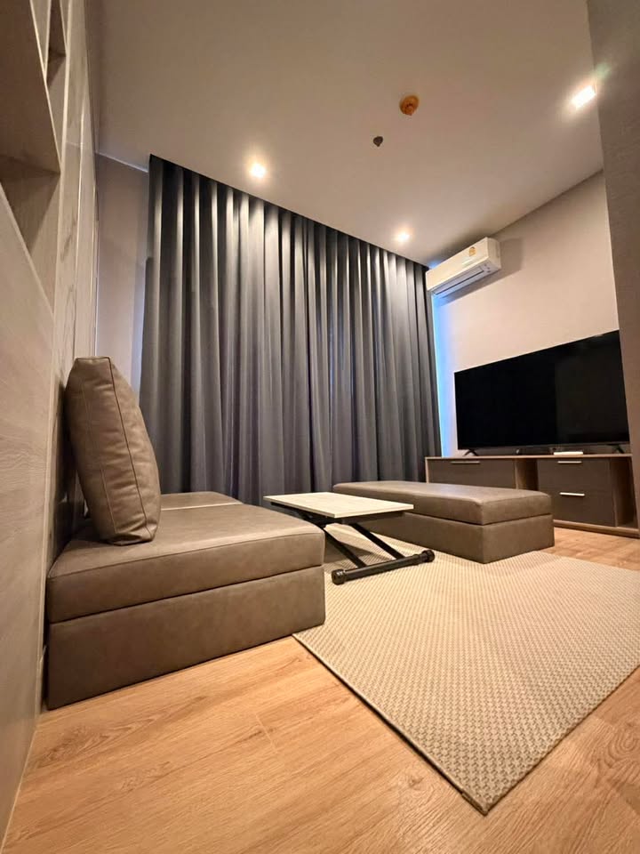 Noble Around Ari - Image 5