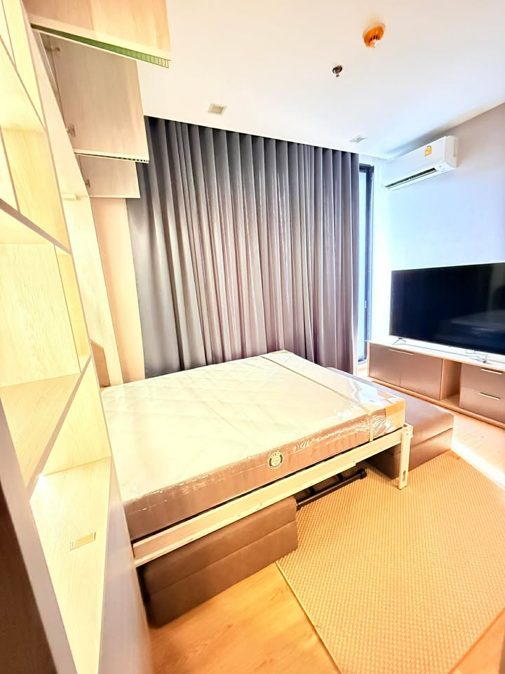 Noble Around Ari - Image 10