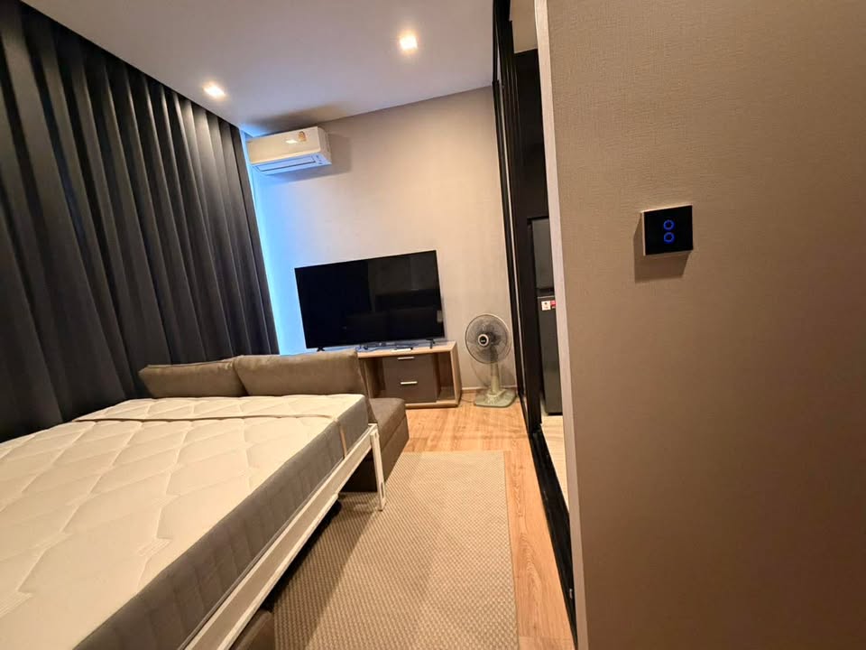 Noble Around Ari - Image 9